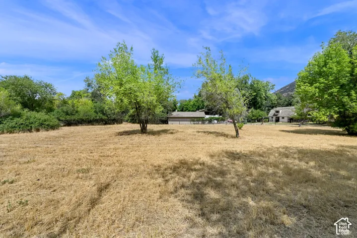 Expansive outdoor area with visible landscaping and a distant structure