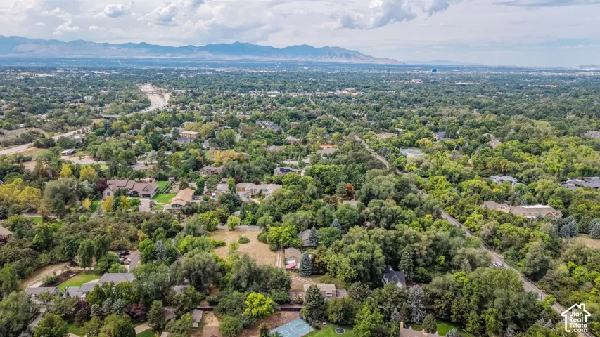 Expansive residential area with abundant mature trees and distant mountain ranges