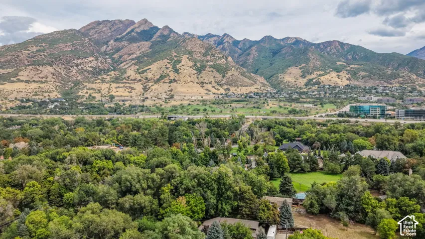 Expansive natural landscape featuring lush trees and distant mountains