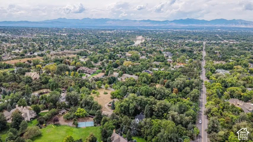 Expansive residential landscape with abundant mature trees and distant mountain ranges