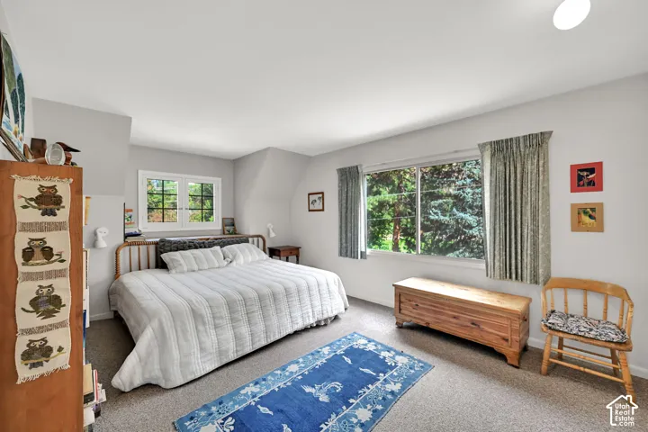 Wall-to-wall carpeting with light gray wall tones and multiple windows