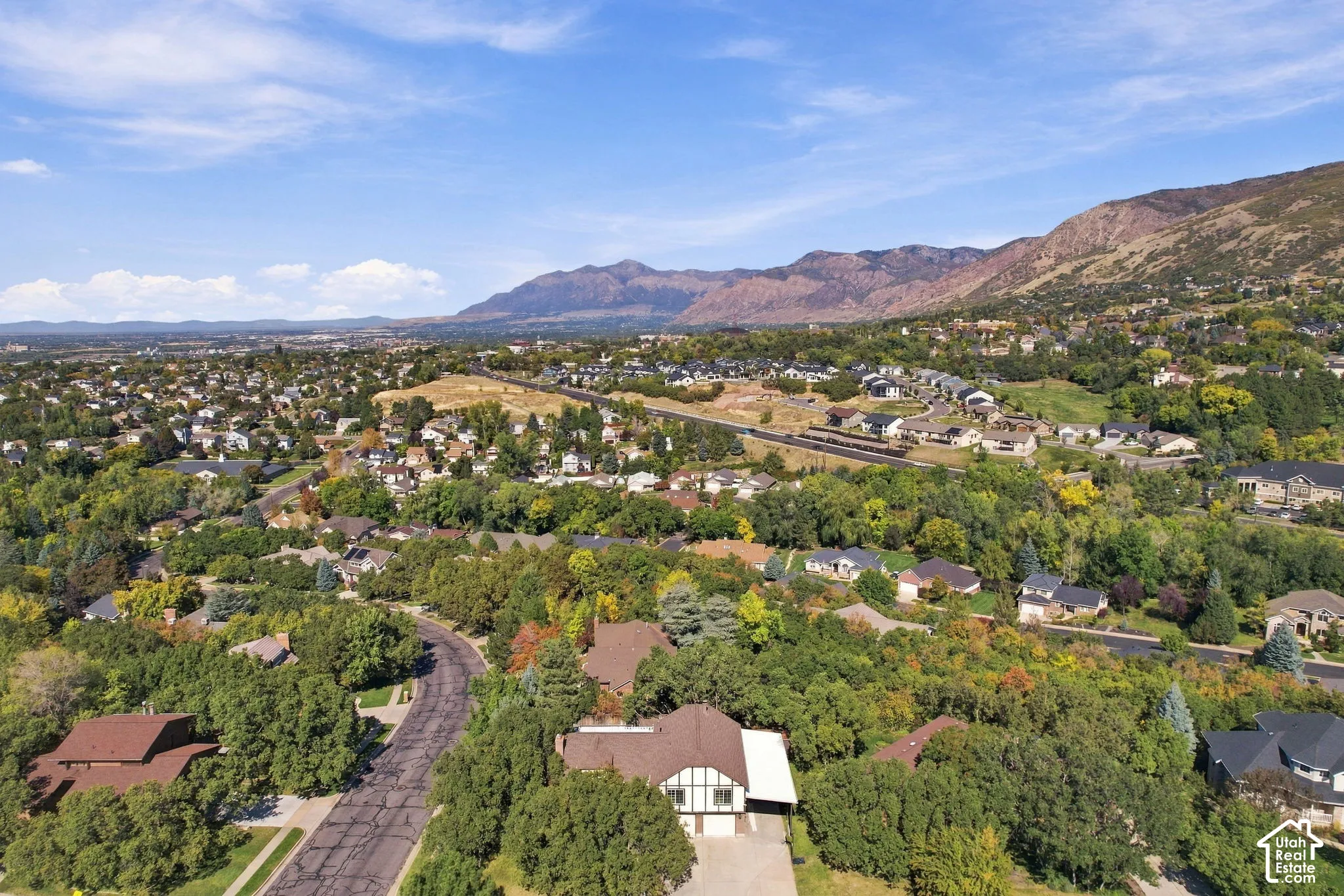 Mountain backdrop with expansive residential areas and abundant mature trees