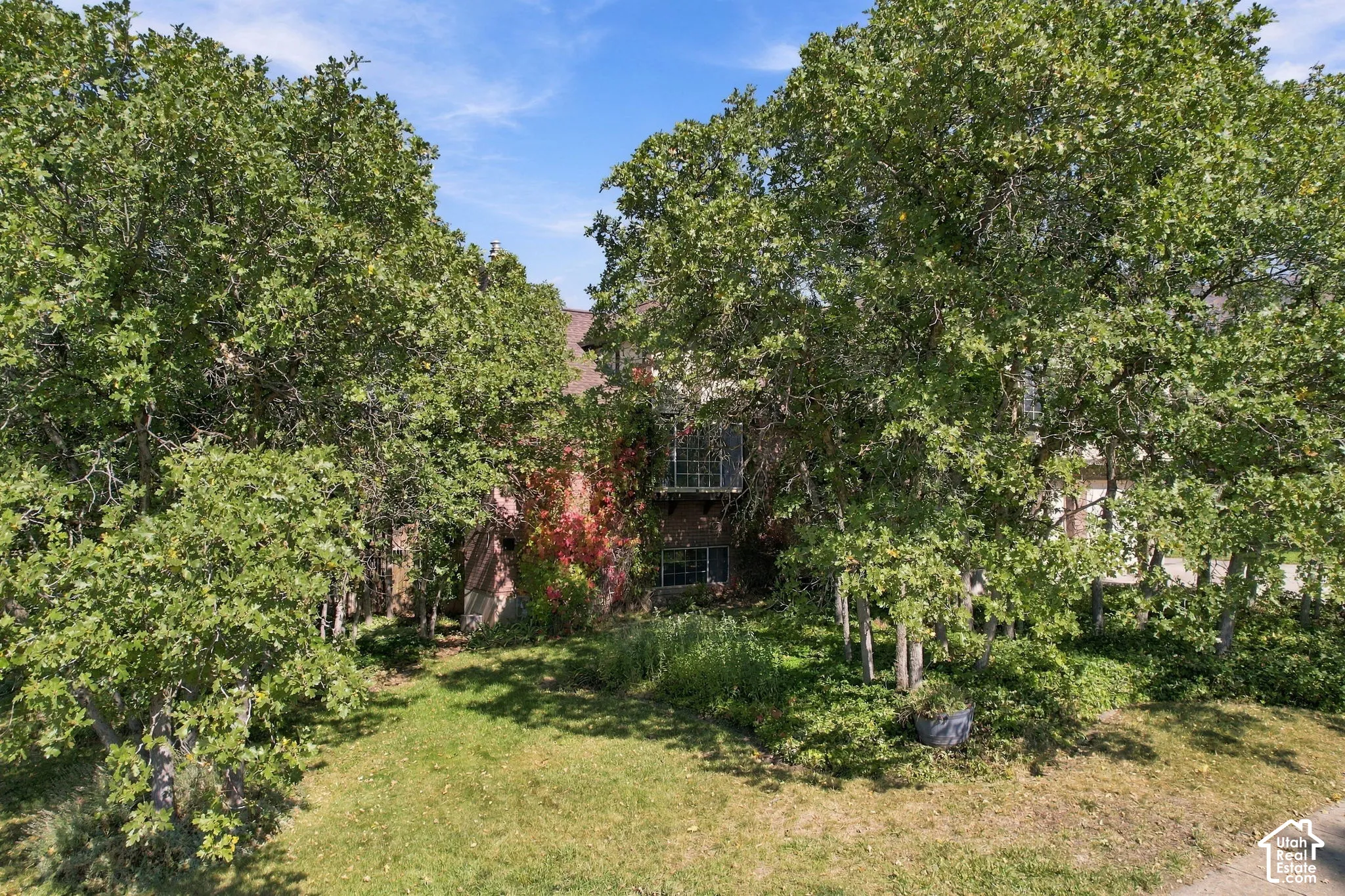 Mature tree-lined grounds with lush lawn and brick residence nestled among established landscaping