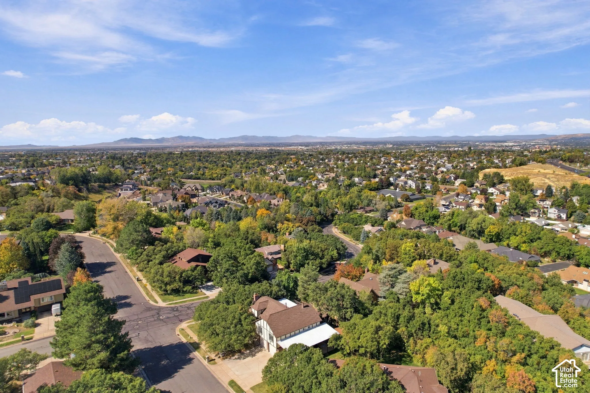 Expansive residential landscape featuring mature trees and distant mountain ranges