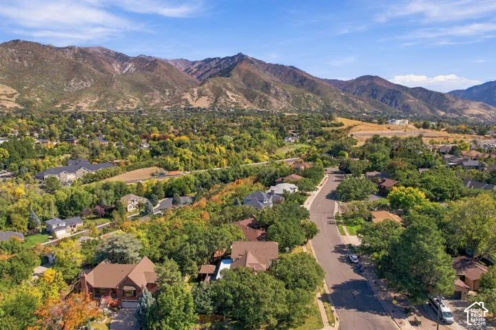 Expansive residential area with abundant mature trees and mountainous backdrop