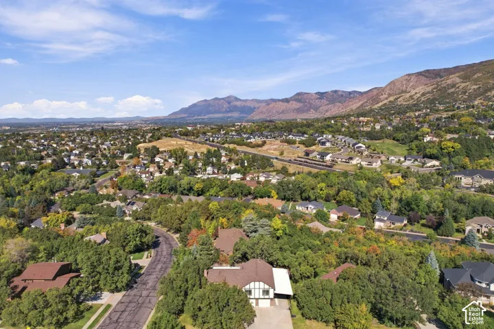 Mountain backdrop with expansive residential areas and abundant mature trees