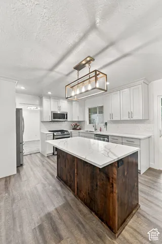 Kitchen featuring wood-finish flooring, white cabinetry, a white subway tile backsplash, a center island with a white countertop and wood paneling, and stainless steel appliances