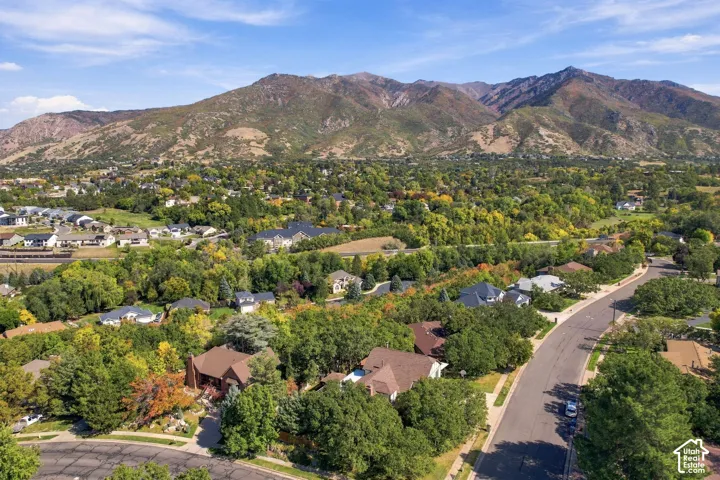 Mountain backdrop, residential area, mature trees, paved roads, clear sky