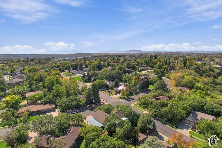 Expansive neighborhood setting with mature trees and paved roadways