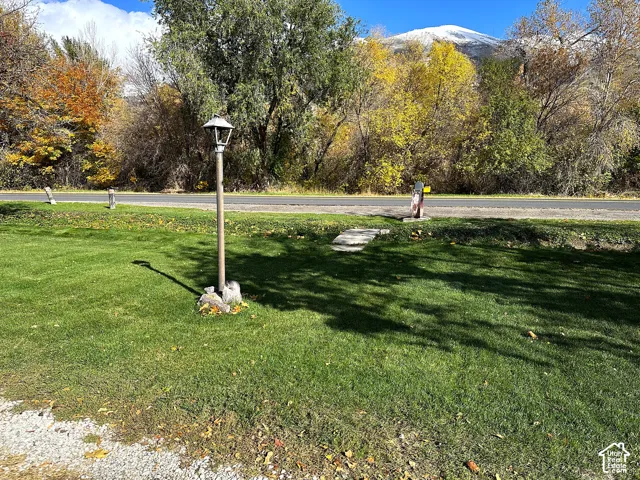 Front yard of property facing country road