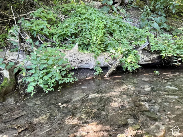 Water source stream with a natural rock bed