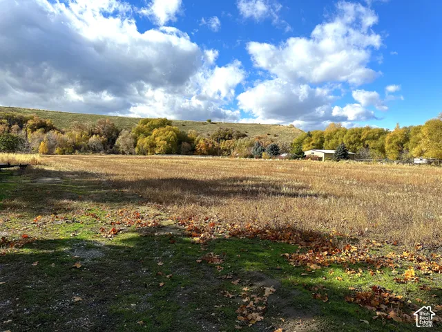 Expansive rural acreage featuring open pastureland with mature trees lining the perimeter, rolling hillside backdrop, and a modest outbuilding visible across the property