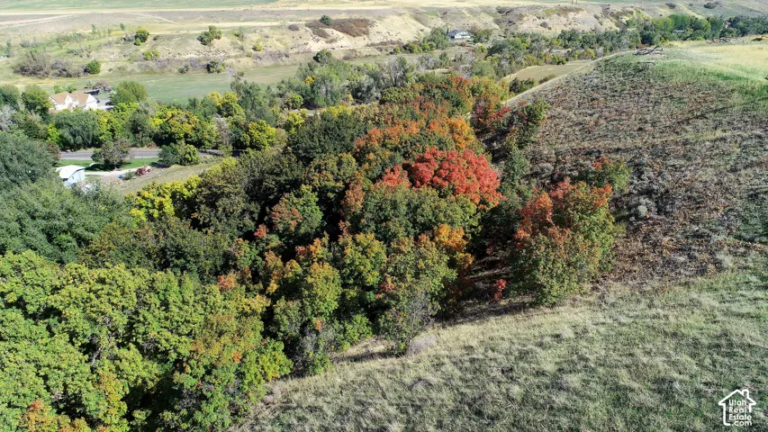 A view from the rolling hillsides  that buffer this property featuring varied foliage, including mature trees with seasonal color