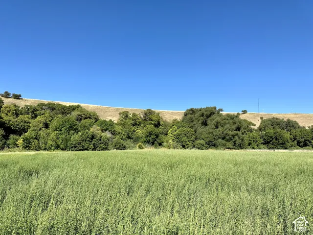 Expansive green field with natural landscaping and a clear blue sky