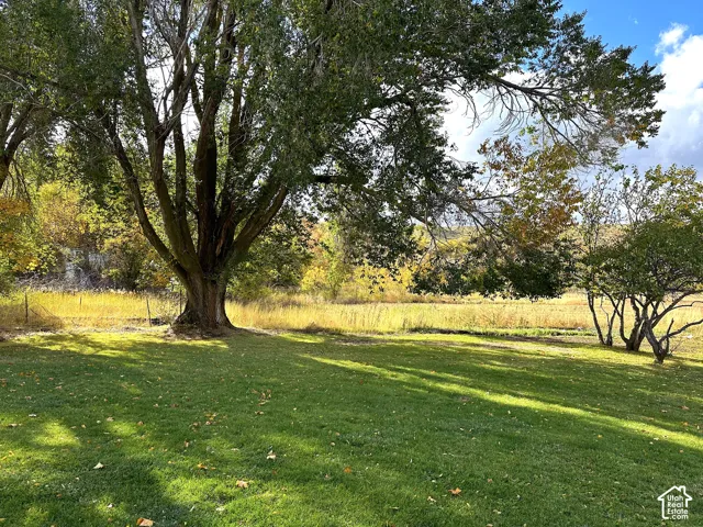 Expansive green lawn with mature trees and natural landscaping