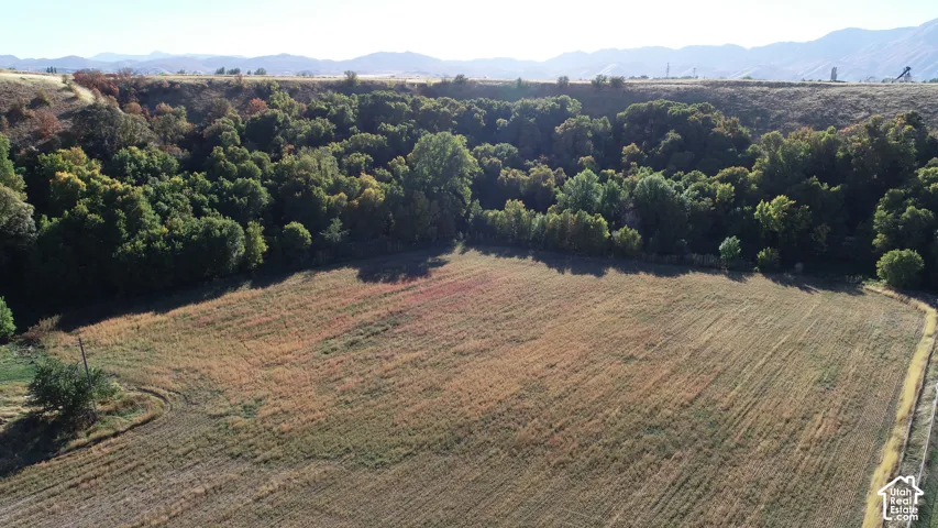 Expansive rural acreage with mature trees and mountain backdrop
