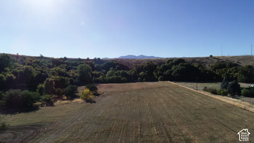 Expansive open field with scattered mature trees and distant hills