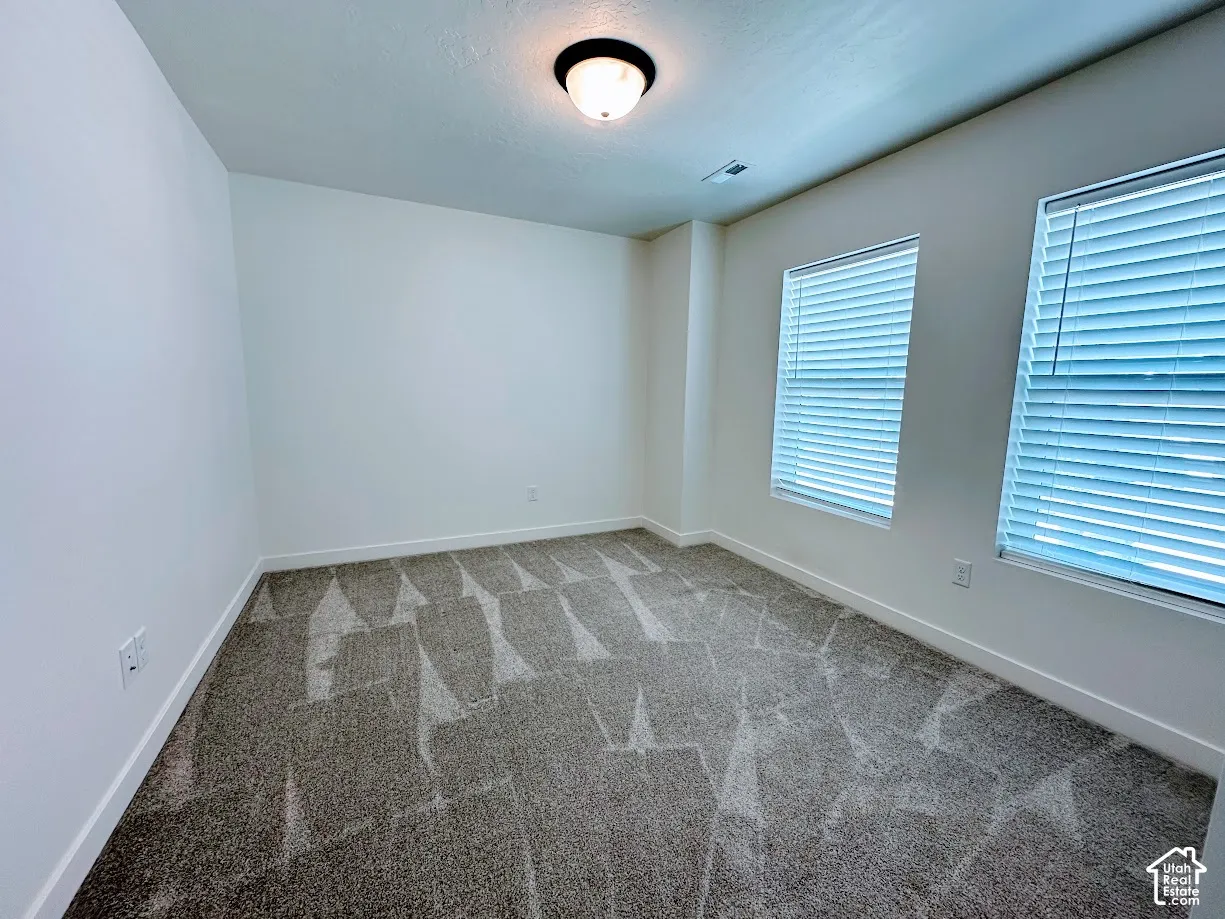 Light-colored walls, textured carpet, two windows with blinds, and an overhead light fixture