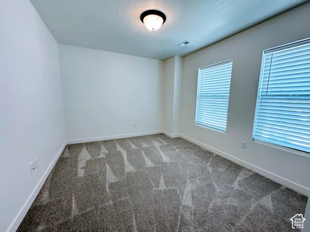Light-colored walls, textured carpet, two windows with blinds, and an overhead light fixture