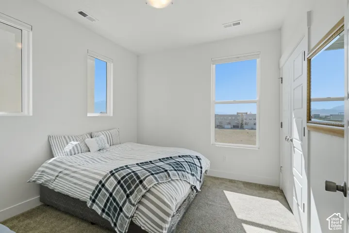 Bright room with two windows, light-colored carpeting, a ceiling-mounted light fixture, and a paneled interior door