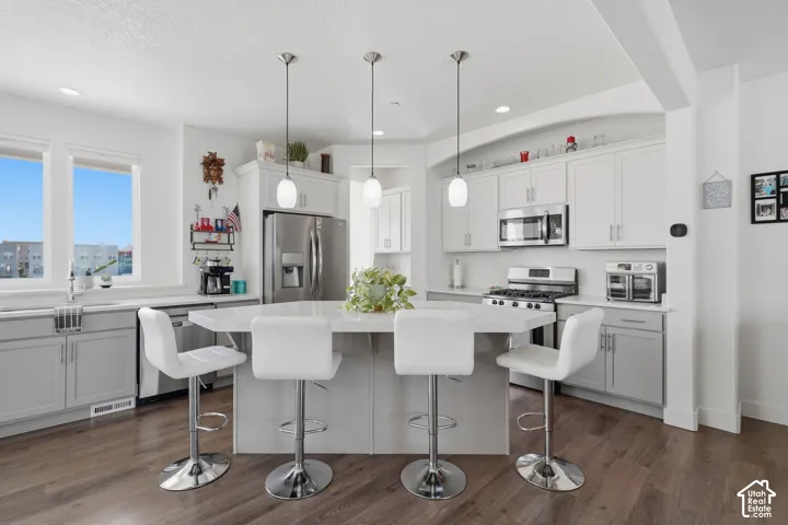 Kitchen featuring a large island with countertop seating, stainless steel appliances, wood-finish flooring, and white and gray cabinetry