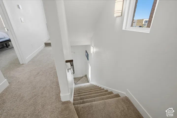 Carpeted staircase with white walls, a single window, and wall-mounted lighting fixtures