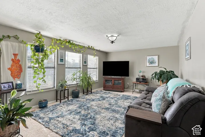 Textured ceilings with a flush-mount light fixture