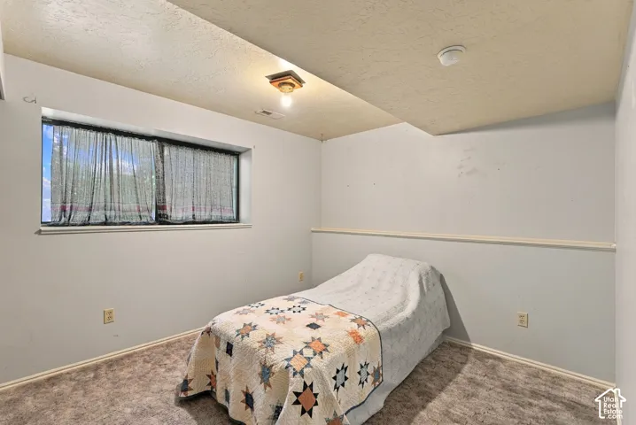 Wall-to-wall carpeting with a neutral finish