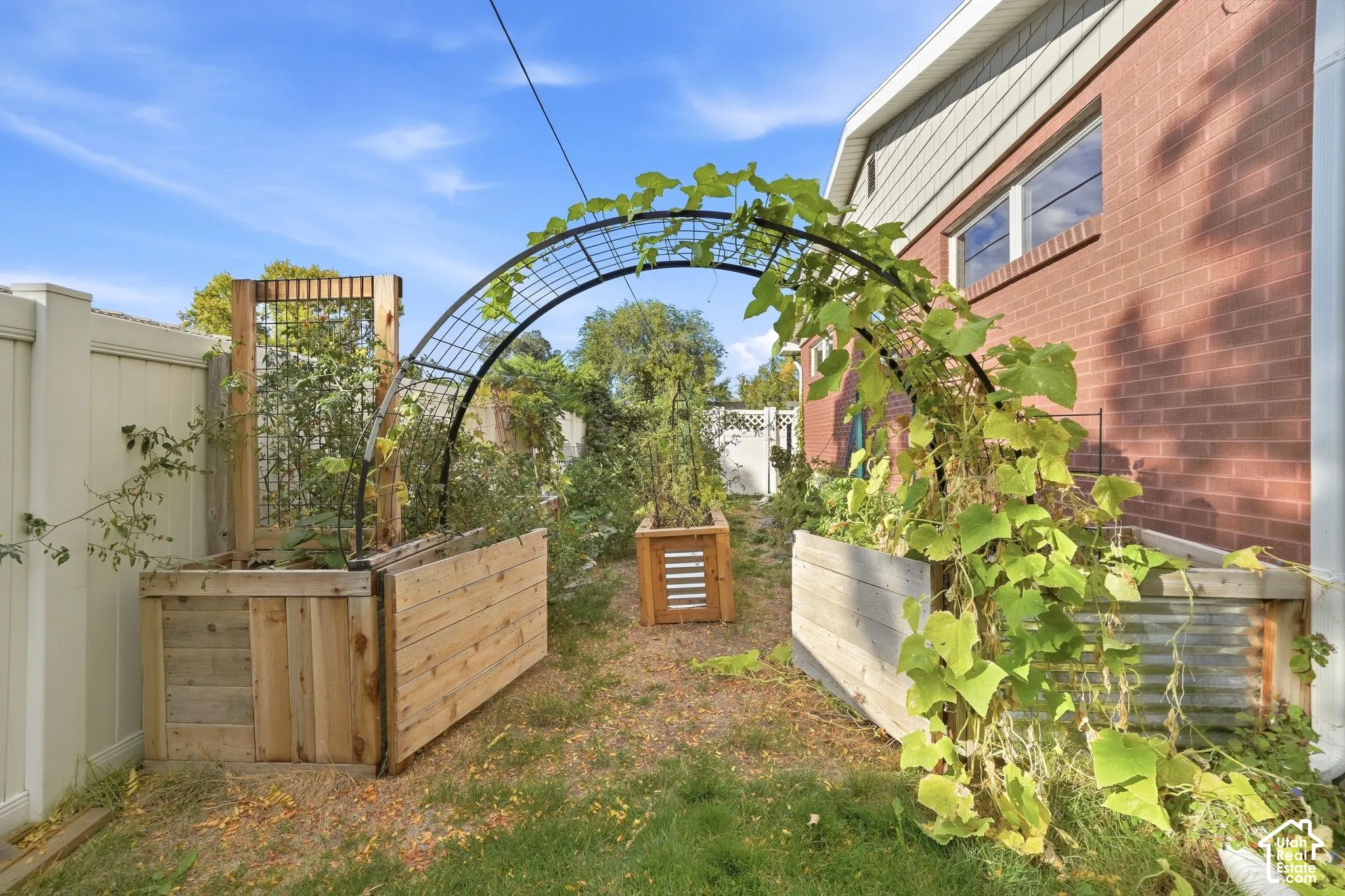 Drip-irrigated raised beds and an arched trellis. The yard includes cherry, peach, and pomegranate trees plus strawberry, raspberry, and blackberry patches.