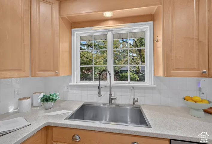 Stainless sink under a window, with culinary and filtered-water taps.