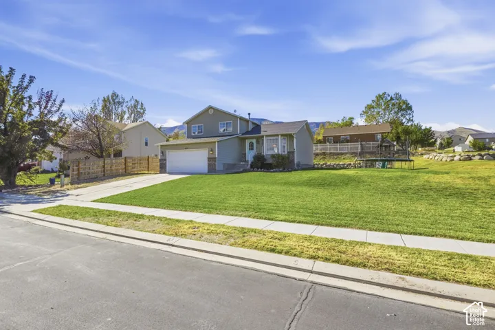 Expansive front lawn with a concrete driveway and sidewalk