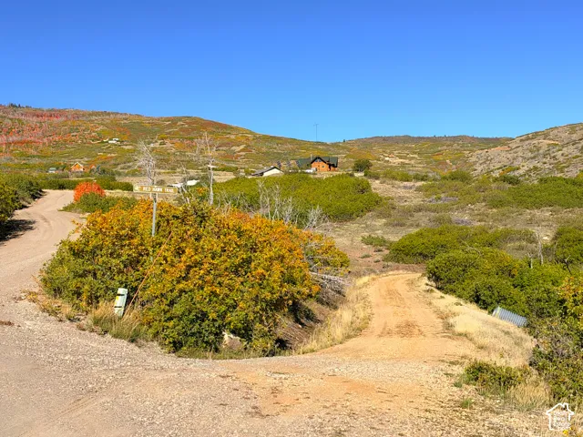 Expansive hillside property featuring multiple dirt roads, diverse natural foliage, and distant structures nestled into the landscape