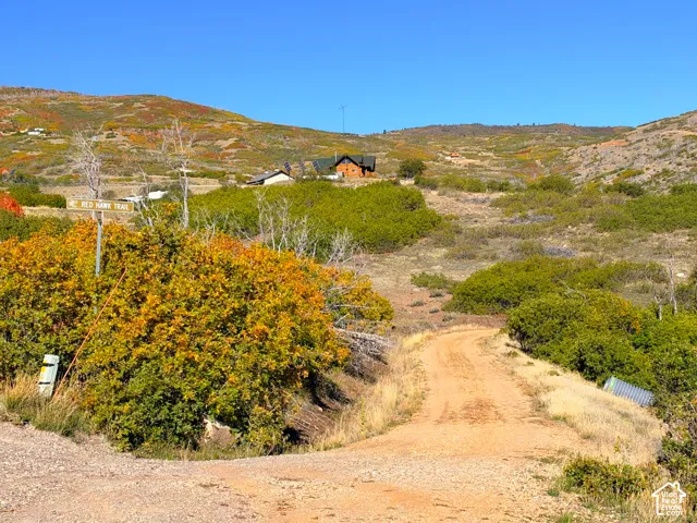 Unpaved road leading to a distant residential structure
