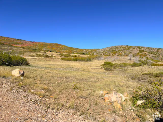 Expansive natural landscape featuring rolling hills, varied vegetation, and a clear sky