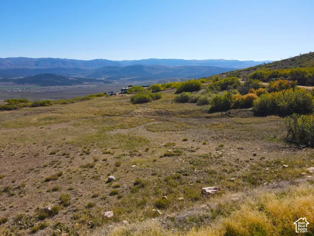 Expansive hillside terrain featuring scattered shrubbery and a distant mountain range