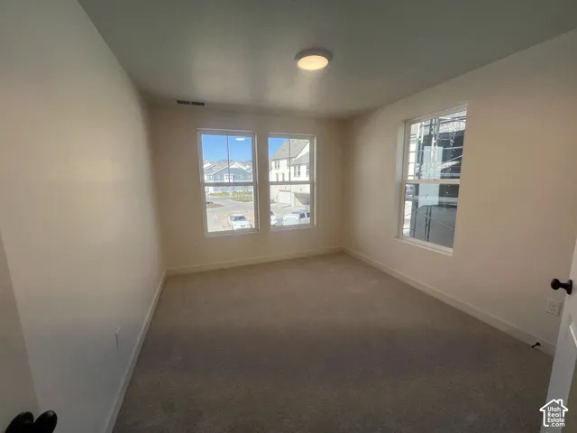 Neutral wall paint, carpet flooring, a flush-mount ceiling light, and multiple windows