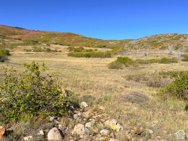 Expansive open terrain with natural vegetation