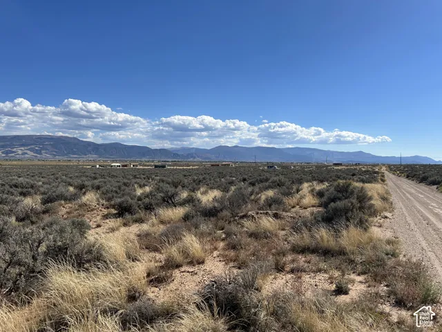 Expansive open land with natural desert vegetation