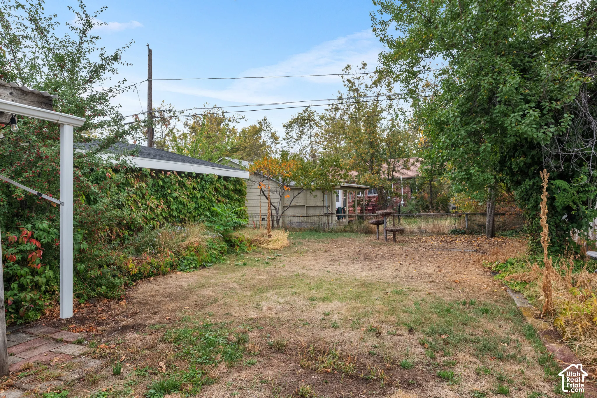 Expansive backyard featuring a brick pathway, mature perimeter greenery, and a detached structure with a shingled roof