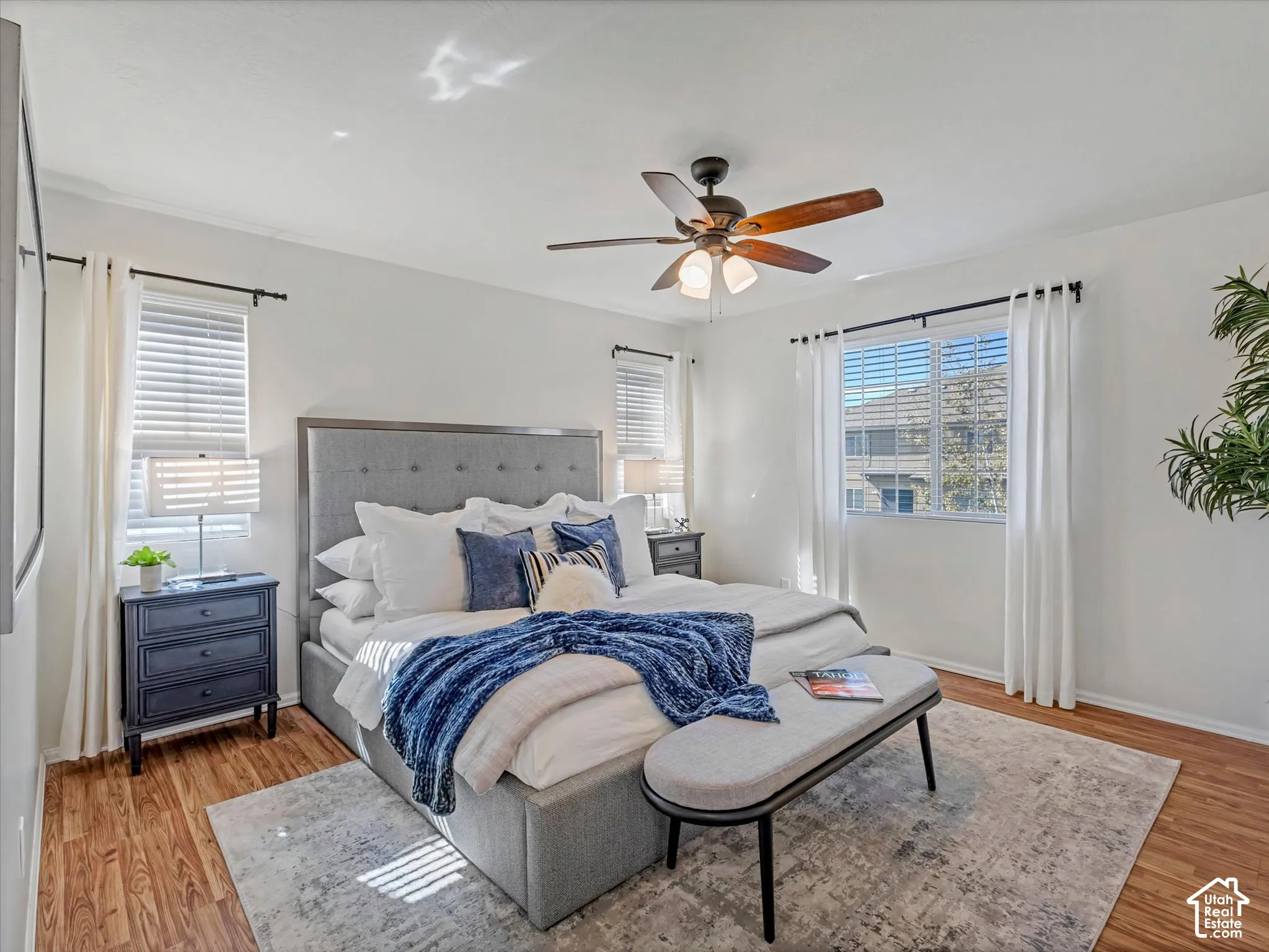 Bright primary bedroom with hardwood flooring, large windows with natural light, and a ceiling fan with integrated lighting