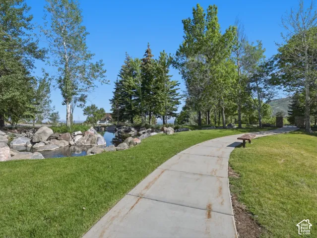 Manicured lawn with a winding concrete pathway