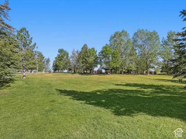 Expansive grassy area with mature evergreen and deciduous trees