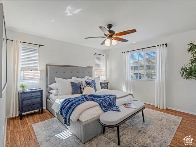 Bright primary bedroom with hardwood flooring, large windows with natural light, and a ceiling fan with integrated lighting