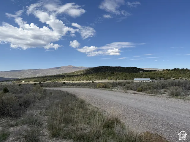 Gravel road access with natural landscaping, distant mountain range, and a visible structure with a light-colored roof