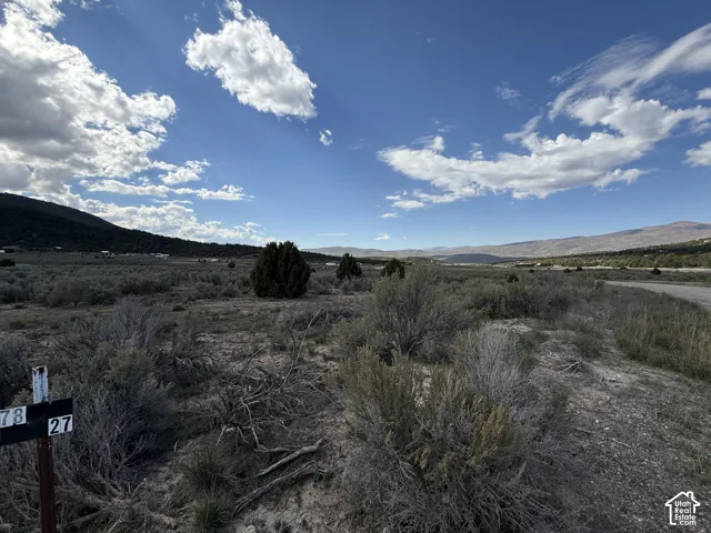 Expansive undeveloped land featuring natural vegetation and distant mountain ranges under a broad sky