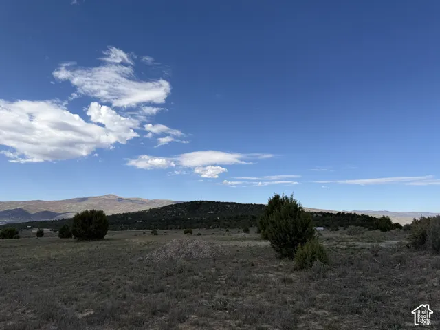 Expansive natural terrain featuring scattered evergreen shrubs and distant mountain ranges
