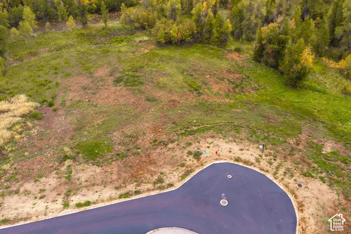 Expansive undeveloped land featuring natural foliage and a paved cul-de-sac