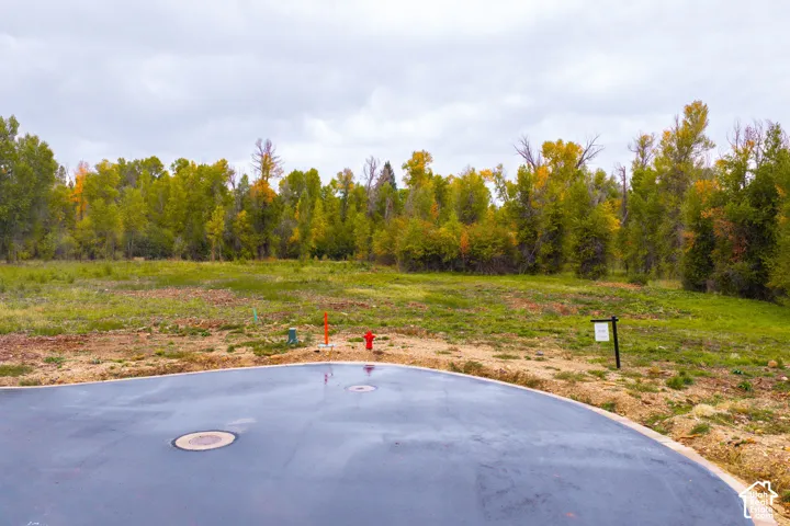 Paved surface, natural landscape, mature trees, utilities present