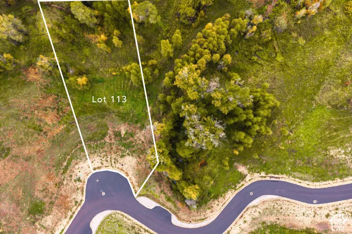 Lot 113 featuring natural vegetation and a paved road frontage