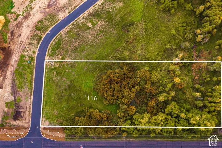 Expansive lot with established green space and paved road frontage